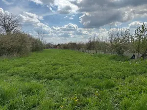 Teren intravilan cu casa batraneasca in vatra satului Dragsina - imagine 4