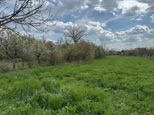 Teren intravilan cu casa batraneasca in vatra satului Dragsina - imagine 3