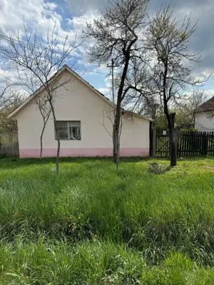 Teren intravilan cu casa batraneasca in vatra satului Dragsina