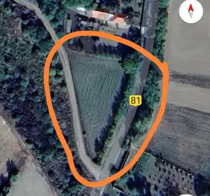 Teren Belciug 1895 mp