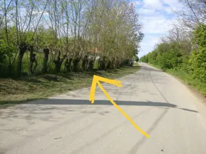 Teren Belciug 1895 mp - imagine 2