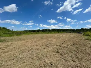 Teren 1629 mp - Baile Felix, Bihor - imagine 4