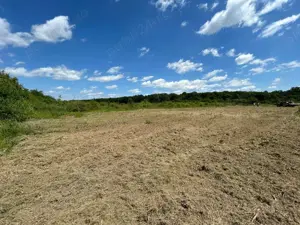 Teren 1629 mp - Baile Felix, Bihor - imagine 5