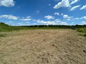 Teren 1629 mp - Baile Felix, Bihor - imagine 6