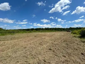 Teren 1629 mp - Baile Felix, Bihor - imagine 2