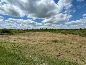 Teren 1629 mp - Baile Felix, Bihor - imagine 10