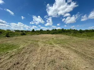 Teren 1629 mp - Baile Felix, Bihor - imagine 9