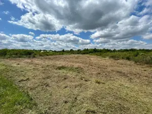 Teren 1629 mp - Baile Felix, Bihor - imagine 3