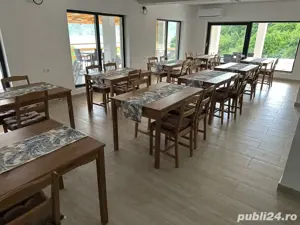 Vand Pensiune Clisura Dunarii  - imagine 4