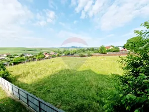 Casă spațioasă S+P+1E+M și teren generos 1664 mp - imagine 3