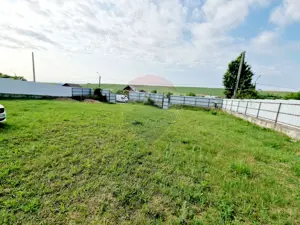 Casă spațioasă S+P+1E+M și teren generos 1664 mp - imagine 4