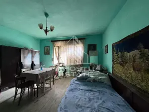 Casa cu 5 camere, 777 mp teren la MOLDOVA VECHE, ideal casa de vacanta - imagine 11 Casa cu 5 camere, 777 mp teren la MOLDOVA VECHE, ideal casa de vacanta - imagine 11