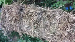 Baloti derptunghiulari