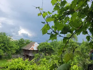 Teren si casa traditionala Corbii de Piatra, Arges - imagine 5