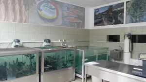 Te asteptam in echipa noastra la Magazinul Pescăresc