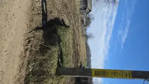 Teren intravilan construcții