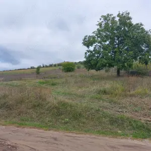 Teren de vanzare in Vaslui - imagine 8