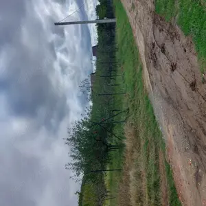 Teren de vanzare in Vaslui - imagine 12