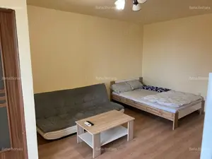 1 cam etaj intermediar mobilat si utilat Take Ionescu - imagine 6