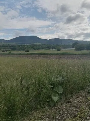 Teren intravilan 3900 mp Negrești