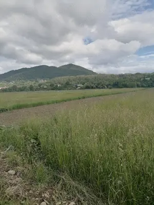 Teren intravilan 3900 mp Negrești  - imagine 2