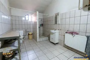 Spatiu comercial+afacere functionala: brutarie,rute de distributie,Ghelinta - imagine 10