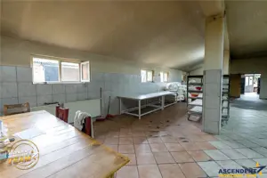 Spatiu comercial+afacere functionala: brutarie,rute de distributie,Ghelinta - imagine 20