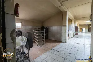 Spatiu comercial+afacere functionala: brutarie,rute de distributie,Ghelinta - imagine 11