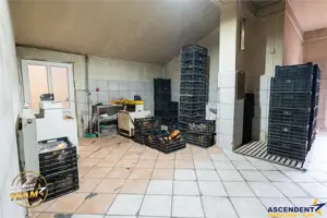 Spatiu comercial+afacere functionala: brutarie,rute de distributie,Ghelinta - imagine 5