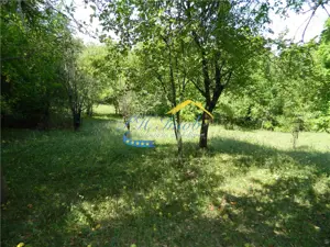 Casa de vanzare, Poiana Campina - imagine 7
