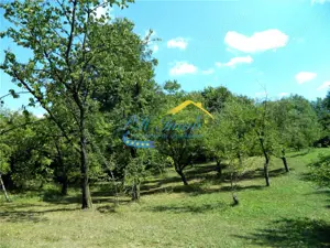 Casa de vanzare, Poiana Campina - imagine 2