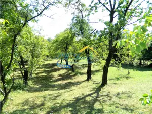 Casa de vanzare, Poiana Campina - imagine 3