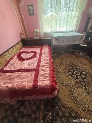 casa de vanzare Rotunda jud Olt - imagine 5