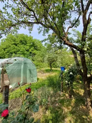 Casa individuala, 145 mp, 802 mp teren, zona centrala, Turda - imagine 6