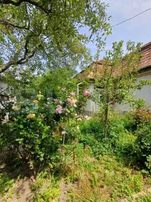 Casa individuala, 145 mp, 802 mp teren, zona centrala, Turda