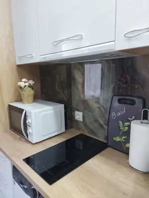 Apartament cu 1 camera de inchiriat in zona Complexului Studentesc - imagine 3