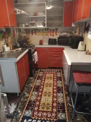 Proprietar vand Casa cu 2 camere si 2 bai, CURTE COMUNA Sector 6 - imagine 4