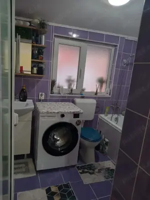 Proprietar vand Casa cu 2 camere si 2 bai, CURTE COMUNA Sector 6 - imagine 5