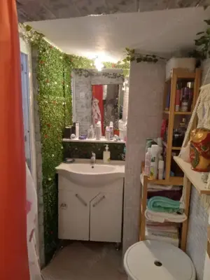 Proprietar vand Casa cu 2 camere si 2 bai, CURTE COMUNA Sector 6 - imagine 8