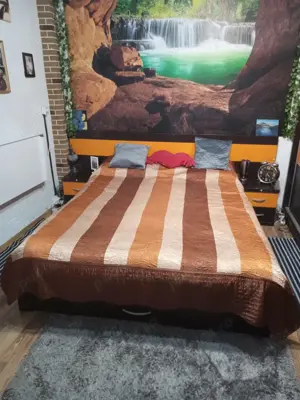 Proprietar vand Casa cu 2 camere si 2 bai, CURTE COMUNA Sector 6 - imagine 7