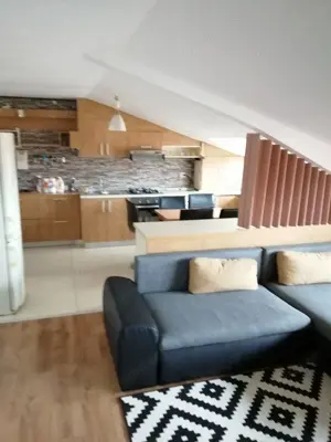 CI558 Simion Barnutiu-Lugojului,2 camere,centrala