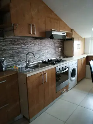 CI558 Simion Barnutiu-Lugojului,2 camere,centrala - imagine 3