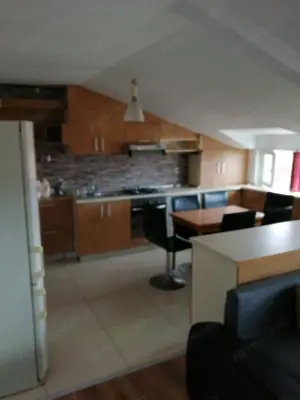 CI558 Simion Barnutiu-Lugojului,2 camere,centrala - imagine 2