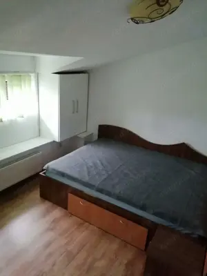 CI558 Simion Barnutiu-Lugojului,2 camere,centrala - imagine 7