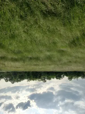 Teren intravilan de vânzare în Honorici 