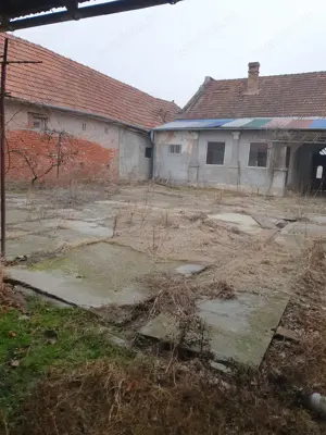 Proprietar- Bacova- ideala clinica, azil, pensiune, etc. - imagine 8