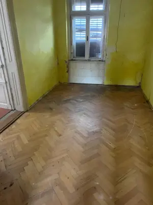 Proprietar- Bacova- ideala clinica, azil, pensiune, etc. - imagine 4