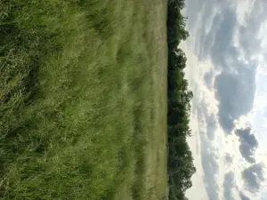 Teren intravilan de vânzare în Honorici  - imagine 2