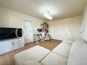 SX567 Take Ionescu, Ideal Investitie - imagine 2