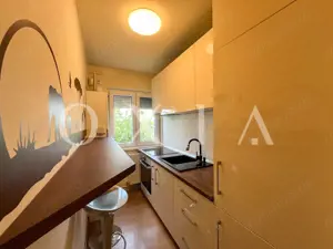 SX567 Take Ionescu, Ideal Investitie - imagine 7